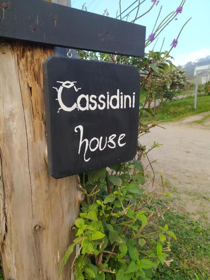 Cassidini House Leilighet Monteverde Eksteriør bilde